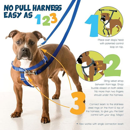 2 Hounds Design Freedom No Pull Dog Harness, Adjustable Harness, Easy Walking & Comfortable Control, Fits Small, Medium & Large Dogs, Solid Colors, Made in USA, 5/8" SM, Burgundy