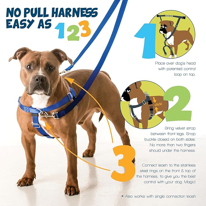 2 Hounds Design Freedom No Pull Dog Harness, Adjustable Harness, Easy Walking & Comfortable Control, Fits Small, Medium & Large Dogs, Solid Colors, Made in USA, 1" MD, Kelly Green