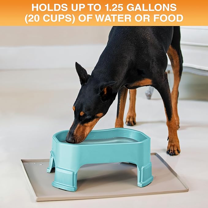 Neater Pet Brands Extra Large Water Bowl for Dogs, Elevated Outdoor Dog Water Bowl (1.25 Gallon XL Capacity), Big Trough Style Food Dish for Indoors or Outside, No Spill Large Dog Bowls, Aquamarine