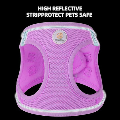 Hipubby Dog Harness and Leash Set, No Pull Soft Mesh Puppy Harness for Small Medium Dogs, Cats - Step in Reflective Breathable Lightweight Vest Harness for Walking, Training - Purple, XXS