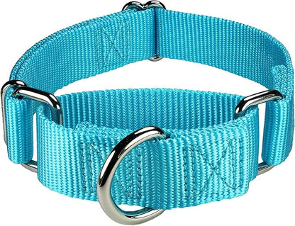 Mikivery Martingale Dog Collar Nylon Adjustable and Safety Training Colourful Comfortable Metal Buckle Pet Collars for Small Medium and Large Dogs(Ice Blue,M)