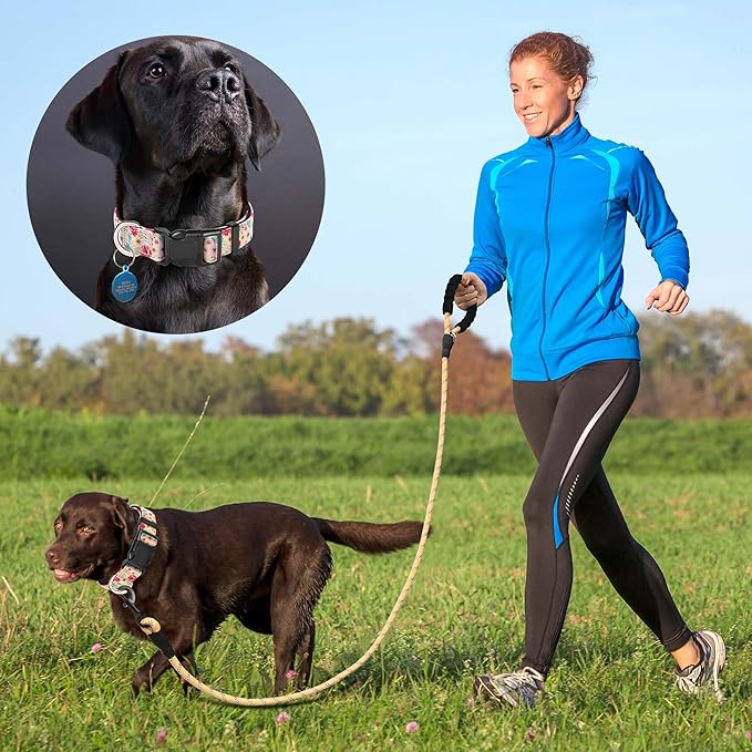 Ladoogo Reflective Dog Collar Padded with Soft Neoprene Breathable Adjustable Nylon Dog Collars for Small Medium Large Dogs (Medium (Pack of 1), Vanila/Pink Floral Collar+Leash)