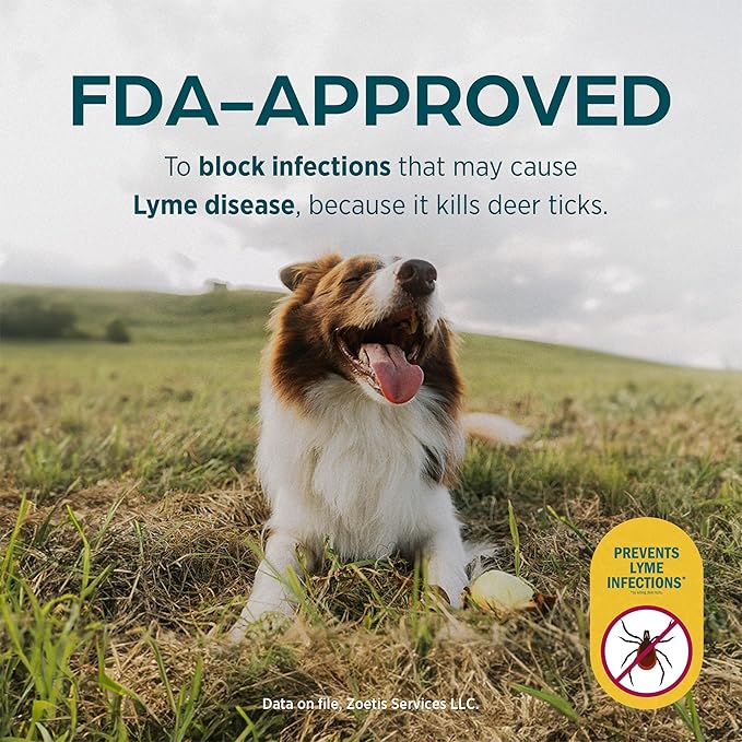 Simparica (sarolaner) Chewables for Dogs, 10 mg/tab, 5.6-11 lbs (Purple), 1 Tablet