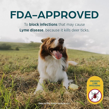 Simparica (sarolaner) Chewables for Dogs, 80 mg/tab, 44.1-88 lbs (Green), 1 Tablet