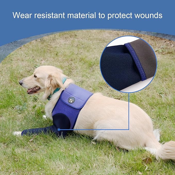 Coodeo Dog Recovery Suit, Cone Collar Alternative, Abrasion Resistant Dog Recovery Sleeve, Washable 2.5mm Thick and Waterproof, Pet Wounds Prevent Licking, Bite, Keep Dry（Purple，L