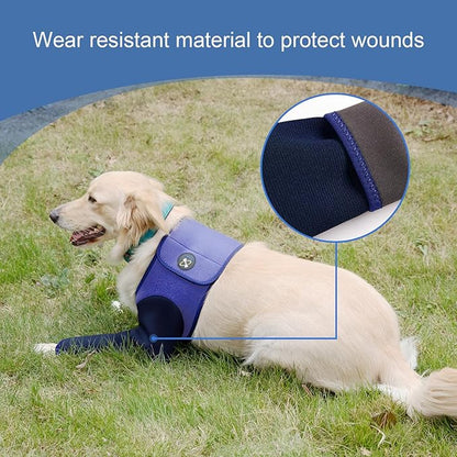 Coodeo Dog Recovery Suit, Cone Collar Alternative, Abrasion Resistant Dog Recovery Sleeve, Washable 2.5mm Thick and Waterproof, Pet Wounds Prevent Licking, Bite, Keep Dry（Purple，2XL