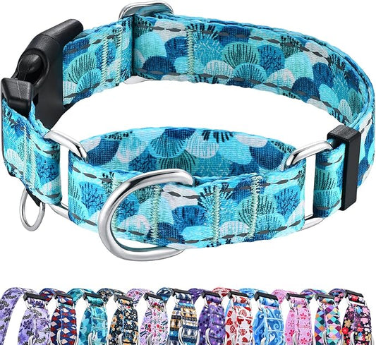 Reflective Martingale Collar with Buckle Adjustable Nylon Training Pet Collars for Extra Small Dogs (Turquoise Shell, XS)