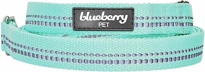 Blueberry Pet 3M Reflective Pastel Color Dog Leash with Soft & Comfortable Handle, 5 ft x 3/4", Mint Blue, Medium, Leashes for Dogs