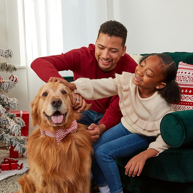 Milk-Bone Holiday 12 Day Treat Calendar, 2.85 oz Box (Pack of 2)