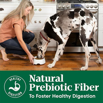 Nutro Natural Choice Dry Dog Food, Adult Dog Food Dry Chicken and Brown Rice Recipe, 5 lbs.