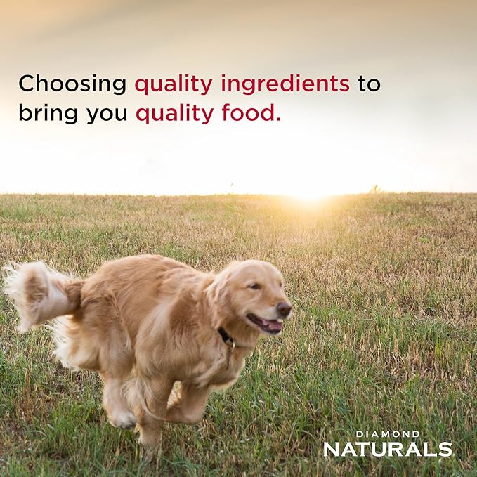 Adult Dog Beef Meal & Rice Formula