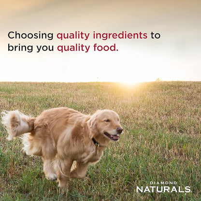 Adult Dog Beef Meal & Rice Formula