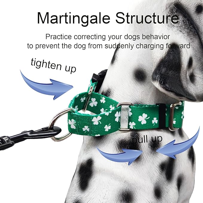 St.Patrick's Day Martingale Collar for Dogs with Buckle Adjustable Shamrock Spring Holiday Dog Collar (Clover, Small)