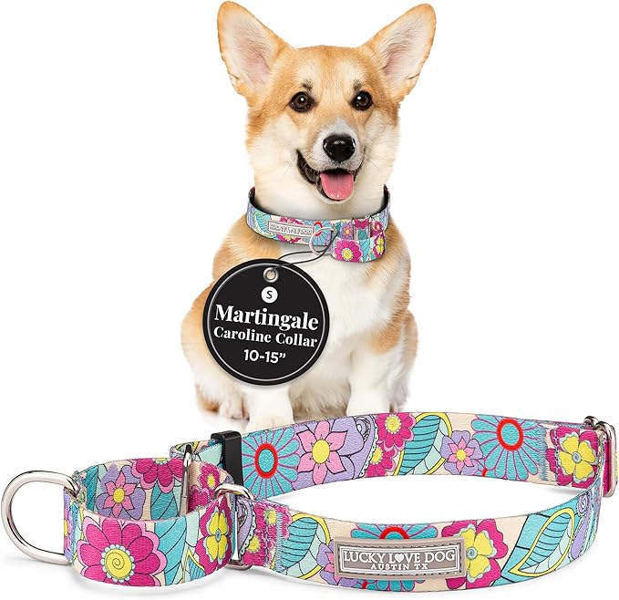Lucky Love Dog Martingale Dog Collar - Adjustable, No-Slip, Durable, & Soft Webbing Collar for Male and Female Dogs Ideal for Training & Walking - Caroline, Small