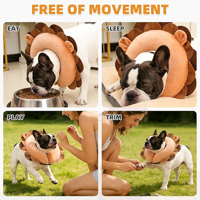 KOOLTAIL Inflatable Dog Cone Collar, Soft Donut E Collar for Dogs After Surgery to Stop Licking Enhanced Alternative, Blow Up Pet Neck Pillow Recovery Adjustable Cone for Dog Cat, Upgrade Size, Lion L