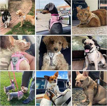 KOOLTAIL Small Dog Harness and Lead Set, Soft Mesh Plaid Puppy Harness with Safety Buckle, Adjustable & Comfortable Padded Reflective Vest for Puppies and Small Breeds Dogs Walking,Pink,X-Small