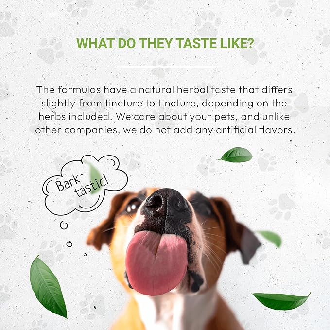 Wolf's Urinary | Natural Herbal Dietary Supplement for Dogs | Healthy Urinary System Support in Dogs | Alcohol-Free Extract, Dandelion Root, Calendula, Linden, Chamomile, Fennel 2 oz