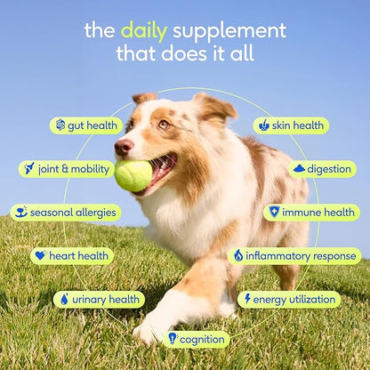 Native Pet The Daily Dog Vitamins & Supplements - 11-in-1 Multivitamin Powder for Dogs - Supports Whole Body Health, Digestion, Mobility & Immunity with Collagen, Glucosamine & Probiotics – 30 Scoops