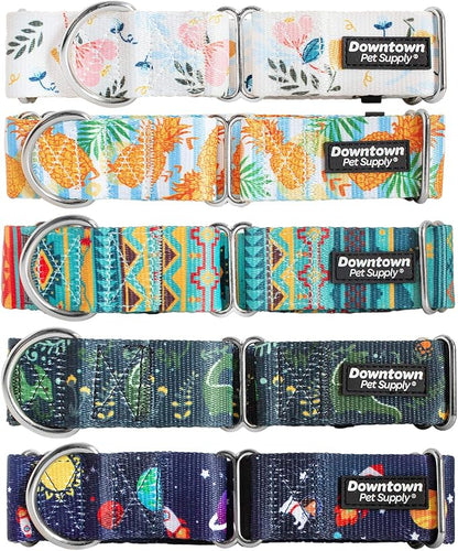 Downtown Pet Supply - Martingale Collar for Dogs - Dog Training Collar - Big, Wide & Thick Dog Collar - Escape-Proof, Weatherproof, Durable and Comfortable - Pineapple - Medium Dog Collar