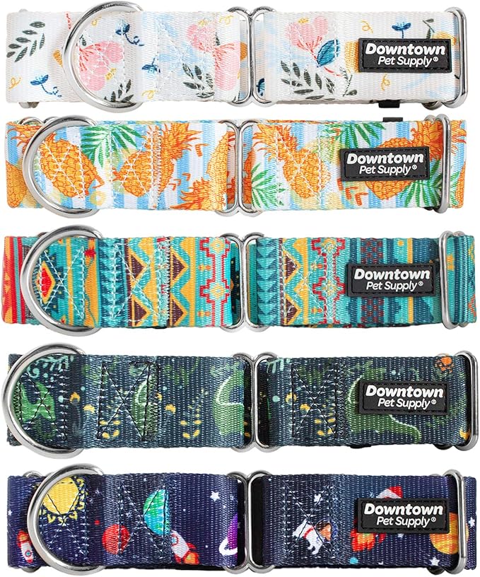 Downtown Pet Supply - Martingale Collar for Dogs - Dog Training Collar - Big, Wide & Thick Dog Collar - Escape-Proof, Weatherproof, Durable and Comfortable - Floral - Small Dog Collar
