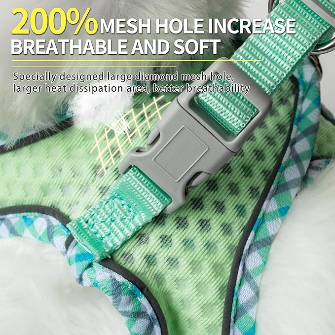 Summer Dog Harness and Leash Set, Soft Dog Vest Harness with Super Breathable Diamond Mesh, Reflective No-Pull Pet Harness for Outdoor Walking, Training for Small Dogs, Cats Sage XXS