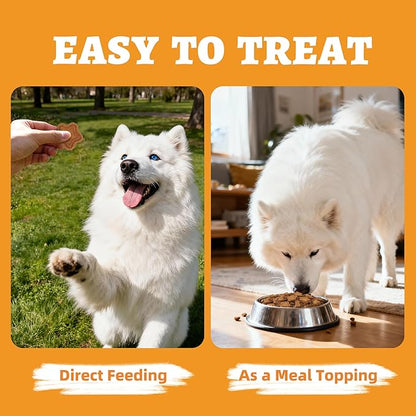 Just Try 40 OZ Pumpkin Dog Treats Biscuits Digestive Support Gut Health Training Treats Healthy Dog Treats