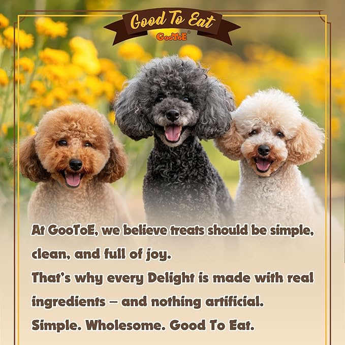 Gootoe Turkey Tendons for Dogs – All-Natural, Hypoallergenic Dog Treats, Rawhide Alternative, Long Lasting Puppy Chews, Healthy Dog Treats for Small Breeds, Ring, 16 oz Pack (1 lb)