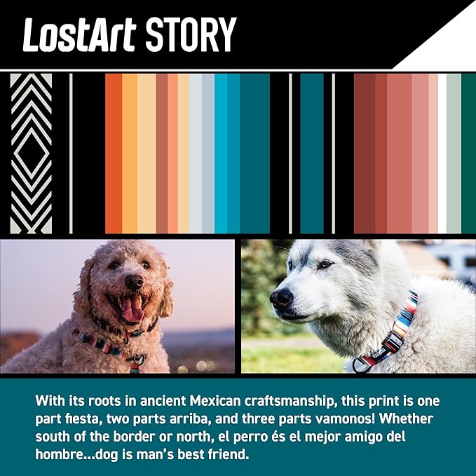 Wolfgang Heavy Duty Dog Leash, Pull-Tested to Over 800 lbs for Walking & Training, LostArt Print, Small
