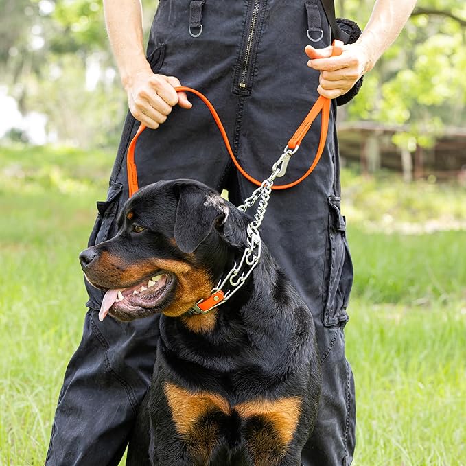 Herm Sprenger Chrome Plated Steel Dog Collar with Quick Release ClicLock Buckle O-Ring Biothane Insert Training Collar Made in Germany (Hunter Orange, 25in x 4.0mm(Neck Size up to21-22in))