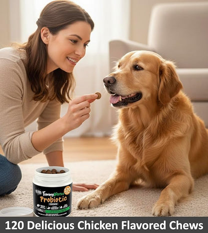TummyWorks Probiotics for Dogs. 120 Probiotic Soft Chews for Digestive Health, Gut, Immunity, Energy, Allergies, Skin & Coat. 10 Strains, 5 Billion CFUs with 6 Enzymes. Made in USA