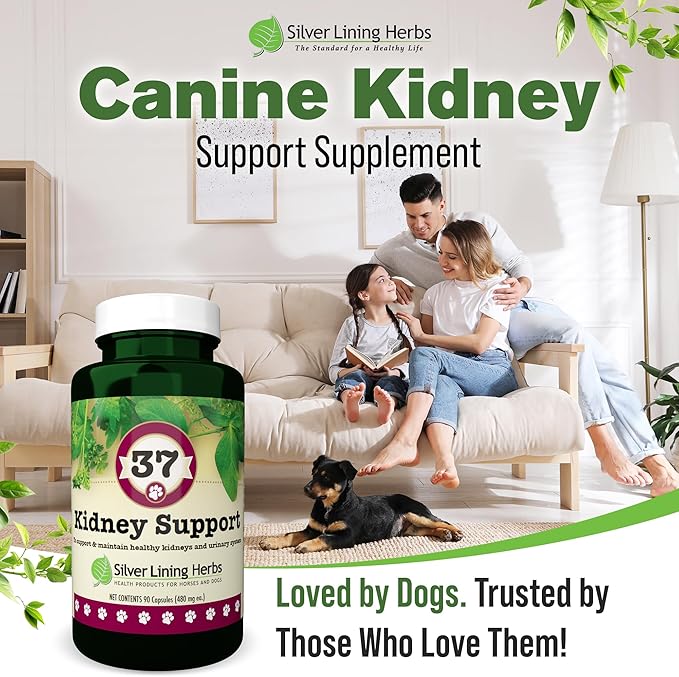 Silver Lining Herbs Kidney Support for Dogs – Natural Herbal Canine Kidney Cleanse & Bladder Support Supplement with Cranberry & Astragalus - Urinary Tract Health & Renal Vitamins – 90 Capsules