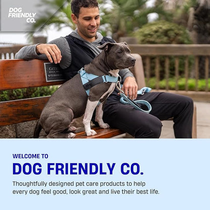 Dog Friendly Co. Bungee Dog Leash | Strain Free & Shock Resistant for Control | Neoprene Padded Handle, Heavy-Duty Carabiner Clip, and D-Ring | Neon Green, Size Regular