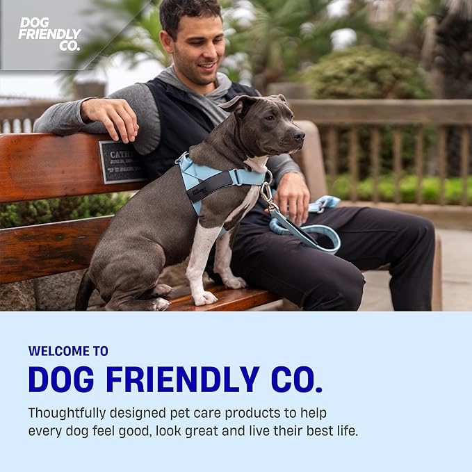 Dog Friendly Co. Bungee Dog Leash | Strain Free & Shock Resistant for Control | Neoprene Padded Handle, Heavy-Duty Carabiner Clip, and D-Ring | Pink, Size Regular