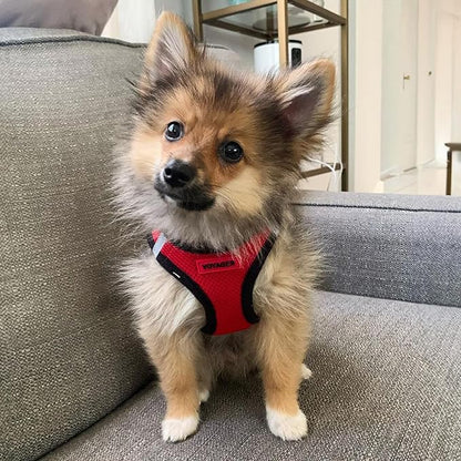 Best Pet Supplies - All Weather Mesh / Plush, Reflective, No Pull Harness for Small, Medium Dogs, Cats - Secure with Hook & Loop Fastener, Buckle, Double D-Rings - Red/Black Trim, XS