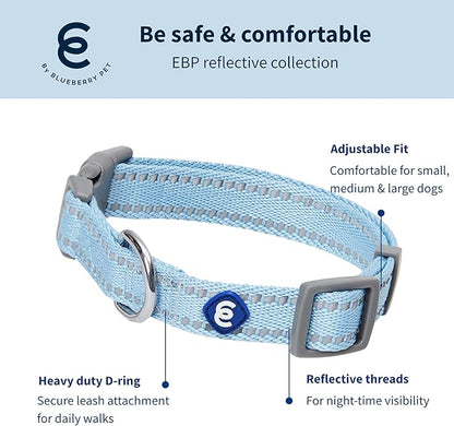 Blueberry Pet Dog Leash & Collar Set - Puppy Essentials, Gentle Leader for Dogs, Adjustable for Small Dogs, Reflective Safe Walking Gear, Fashion for Girl Dog Owners, Heavy Duty Leashes
