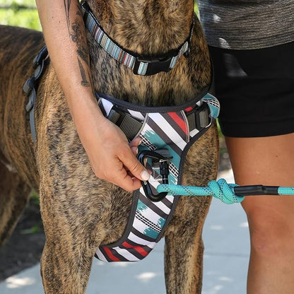 Embark Adventure Medium Dog Harness – No-Pull, Reflective Trim, Military-Grade Nylon, Front Clip with Gel-Lined Handle