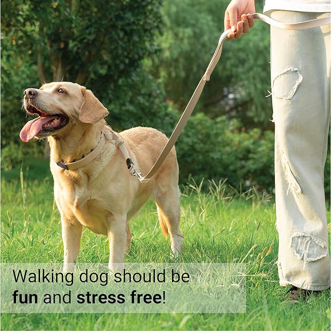 SVD.PET Dog Prong Collar for No-Pull Training, Quick-Release Buckle Adjustable Pinch Collar for Medium Dogs (Tan, Medium Size)