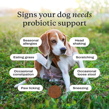 PetLab Co. Probiotics for Dogs, Support Gut Health, Occasional Diarrhea, Digestive Health & Seasonal Allergies - Salmon Flavor - Packaging May Vary - 30 Soft Chews Pack of 2