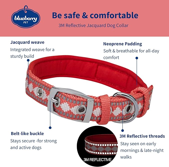Blueberry Pet Reflective Jacquard Dog Collar with Neoprene Padding & Metal Buckle | Soft & Adjustable Safety Collar - Coral, Neck 9-12.5", for Small Breed