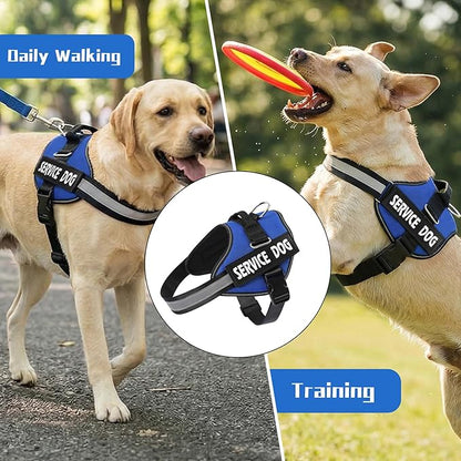 MUMUPET Service Dog Vest Harness, No Pull Reflective Adjustable with Handle, Soft Breathable Padding for Small Dogs, 2 Removable Velcro Patches (Blue, XS)