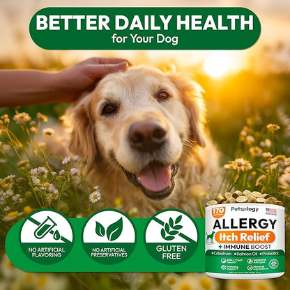 Dog Allergy Relief Chews - 170 Dog Allergy Chews - Itch Relief for Dogs - Omega 3 Fish Oil, Probiotics For Itchy Skin & Hot Spots Allergies, Paw Licking, Dry Skin & Coat Supplement - Beef Liver Flavor