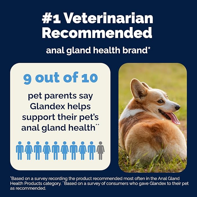 Vetnique Glandex Daily Probiotics for Dogs with Prebiotics to Support Gut Health, Diarrhea with Fiber and Digestive Enzymes, Dog Probiotic Chews or Powders (60ct Chews, Bacon Chews)