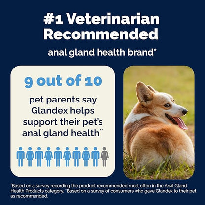 Vetnique Glandex Daily Probiotics for Dogs with Prebiotics to Support Gut Health, Diarrhea with Fiber and Digestive Enzymes, Dog Probiotic Chews or Powders (60ct Chews, Bacon Chews)