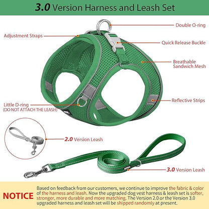AIITLE Comfortable Dog Harness and Leash Set for Walking - Step in Vest Harness,Reflective Bands, Adjustable No Pull Puppy Essentials, for Small Dogs and House Cats Green XS