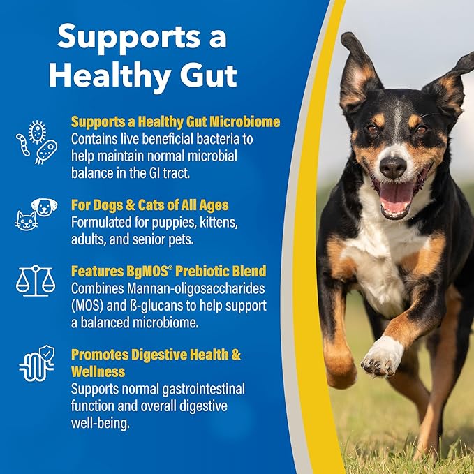 Doc Roy’s GI Synbiotics Probiotic & Prebiotic Granules for Dogs & Cats, Digestive & Immune Health Supplement with Live Cultures, BgMOS & Beta Glucans, Chicken Flavor, 454g Granules