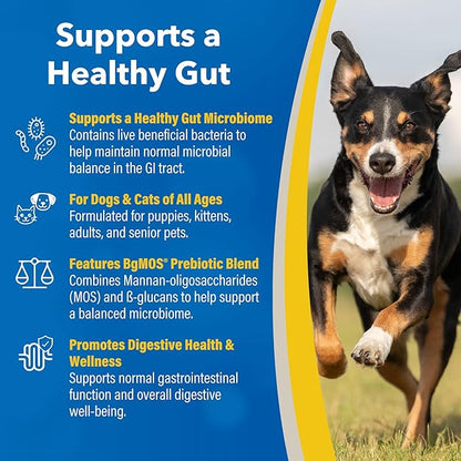Doc Roy’s GI Synbiotics Probiotic & Prebiotic Granules for Dogs & Cats, Digestive & Immune Health Supplement with Live Cultures, BgMOS & Beta Glucans, Chicken Flavor, 454g Granules