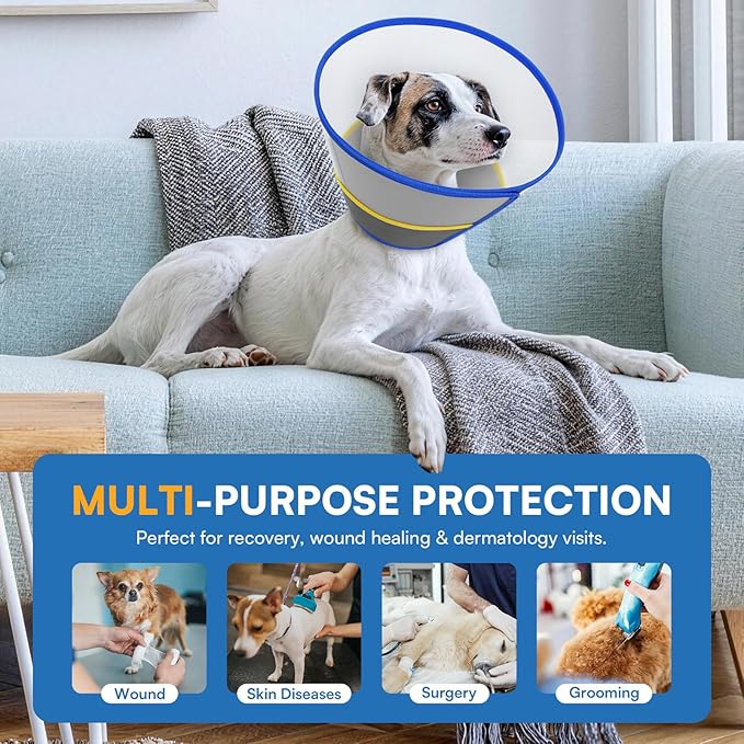 Queenmore Soft Dog Cone Collar for Dogs and Cats After Surgery, Flexible Plastic Cone for Dogs, Dog Recovery Collar, Elizabeth E-Collar Pet Head Cones for Neutering Spay Injury, Blue Medium