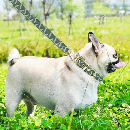 Leather Dog Collar and Leash Set, Check Pattern Dog Collar Leashes Metal Buckle Adjustable Durable for Small Medium Large Dogs (Green, L(14.5-18.5IN))