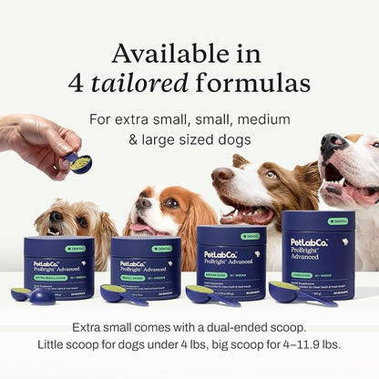 PetLab Co. ProBright Advanced Dental Powder - Dog Breath Freshener - Teeth Cleaning Made Easy – Targets Tartar & Bad Breath - Packaging May Vary - Formulated for Medium Size Dogs