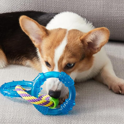 Petstages Dental Links Dog Chew Toy – Puppies & Adults, Strong Chewers, Multiple Textures & Rope, 8.5" x 4" x 1"